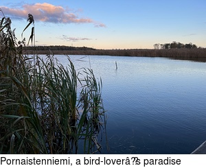 Pornaistenniemi, a bird-lover’s paradise